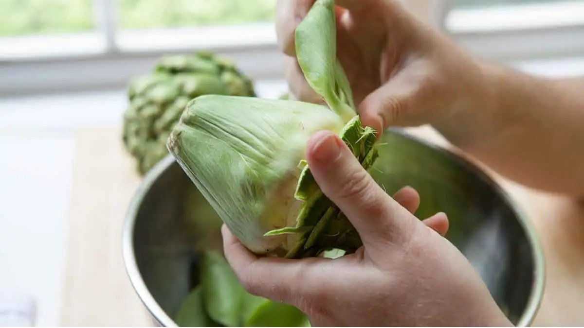 Artichoke Nutrition Facts Cully's Kitchen