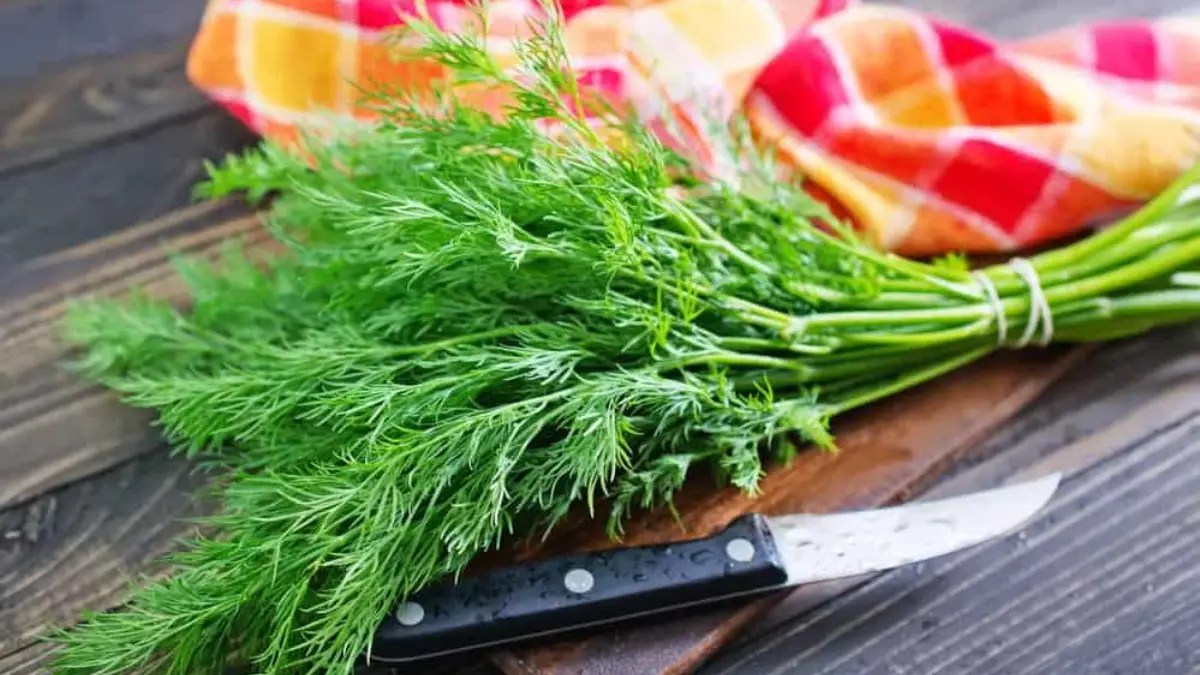 Dill Nutrition Facts Cully's Kitchen