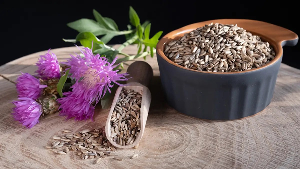 How much Milk Thistle should I Take? Cully's Kitchen