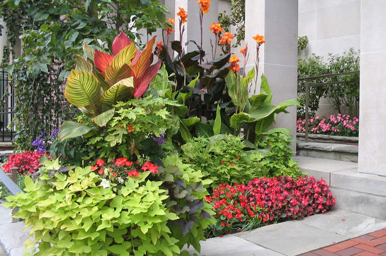 Cultivate Design Toronto's 1 Boutique Landscaping Design Company