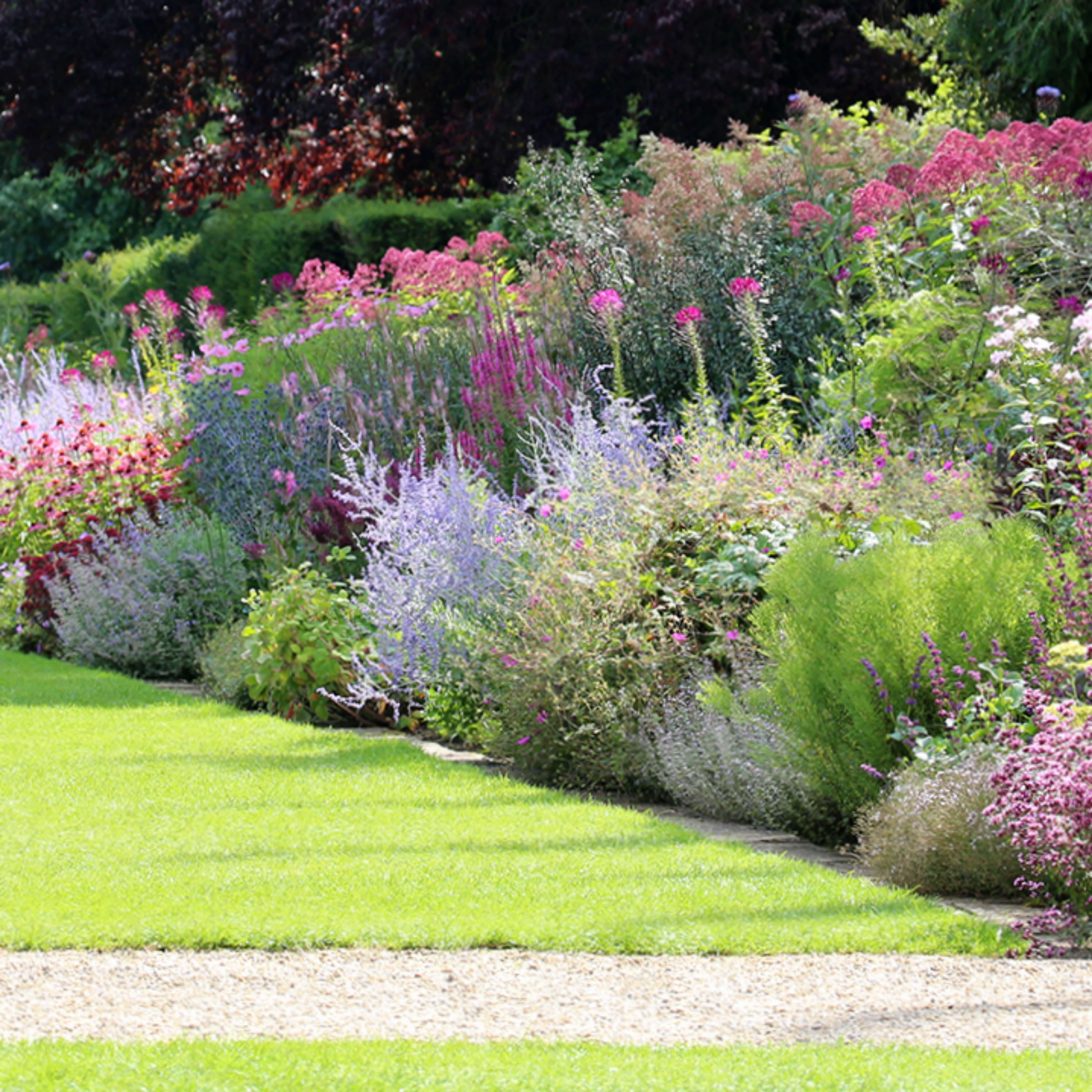 Plants to fill the gaps Cultivation Street