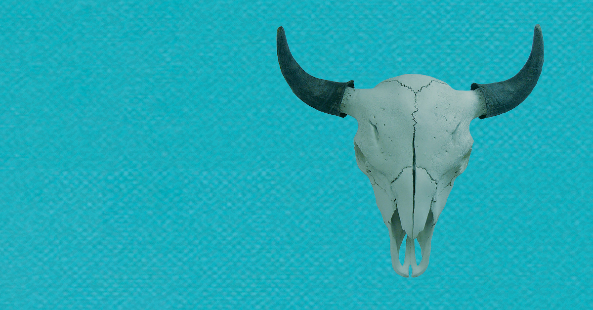 Buffalo 2023 Culture