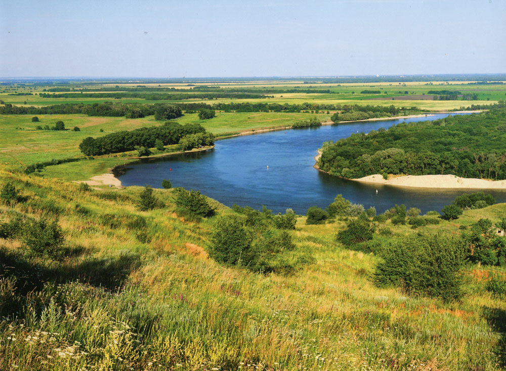 Culture RostovonDon