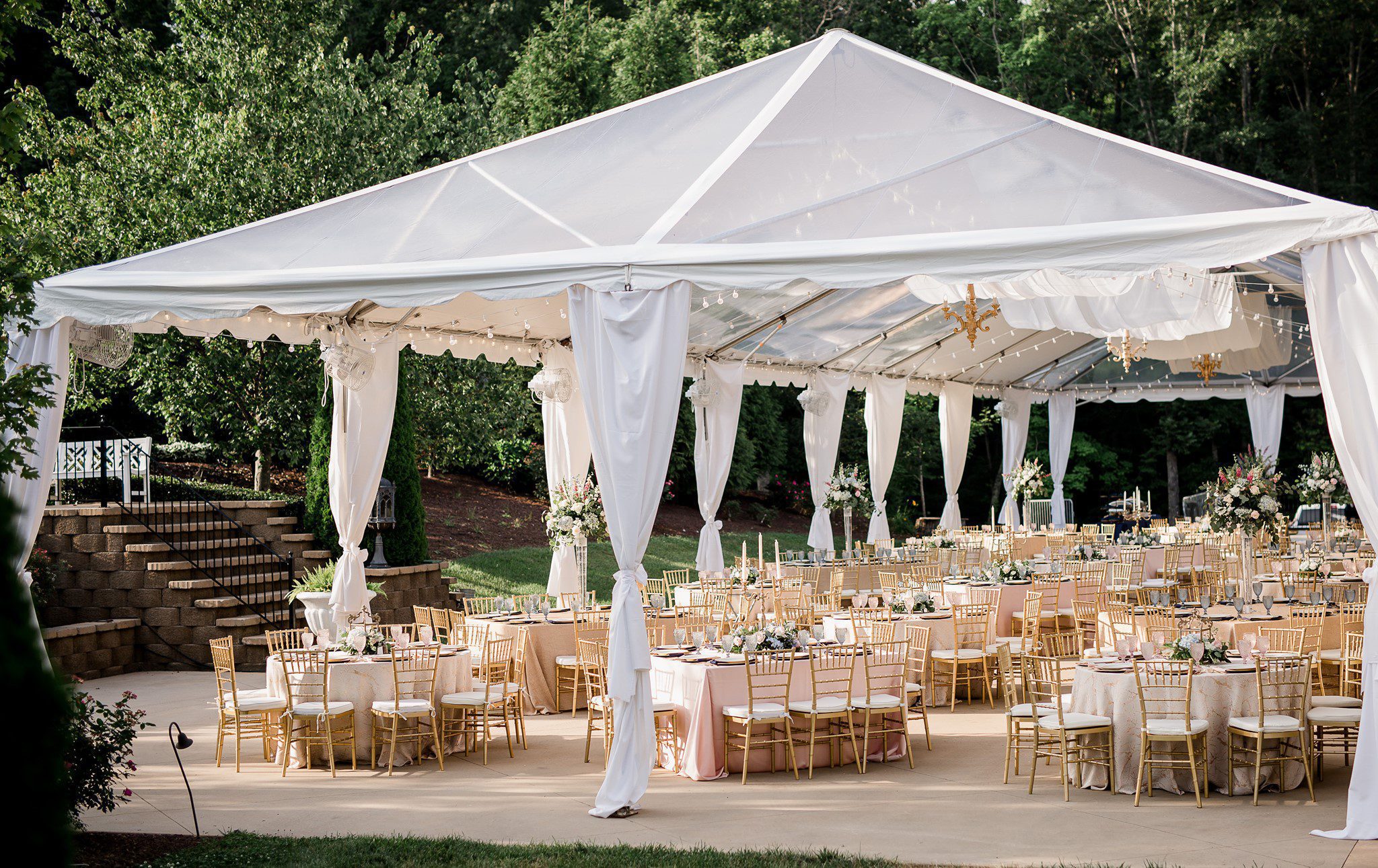 All Occasions Party Rentals CultureVore