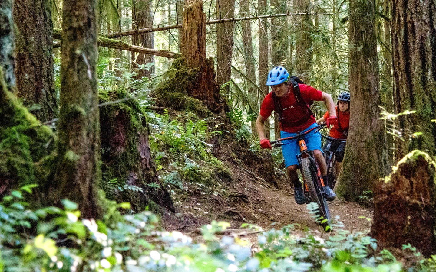 Mountain Biking The Village of Cumberland