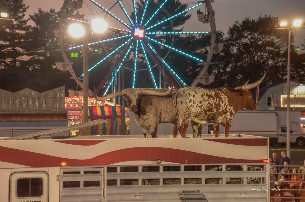 Get ready for the 150th Cumberland Fair! Cumberlandfair