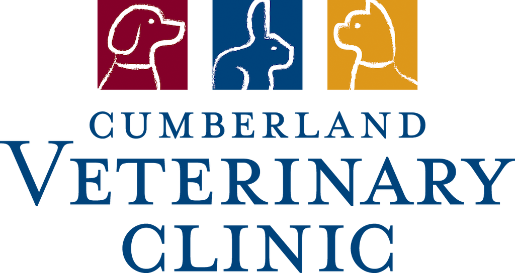 Farm Animal Medicine & Surgery