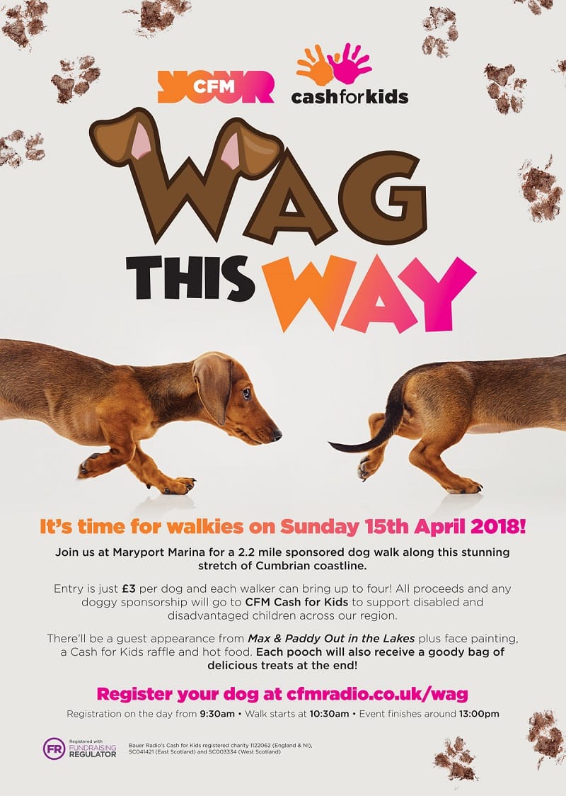 How Can I Bring My Dog To England