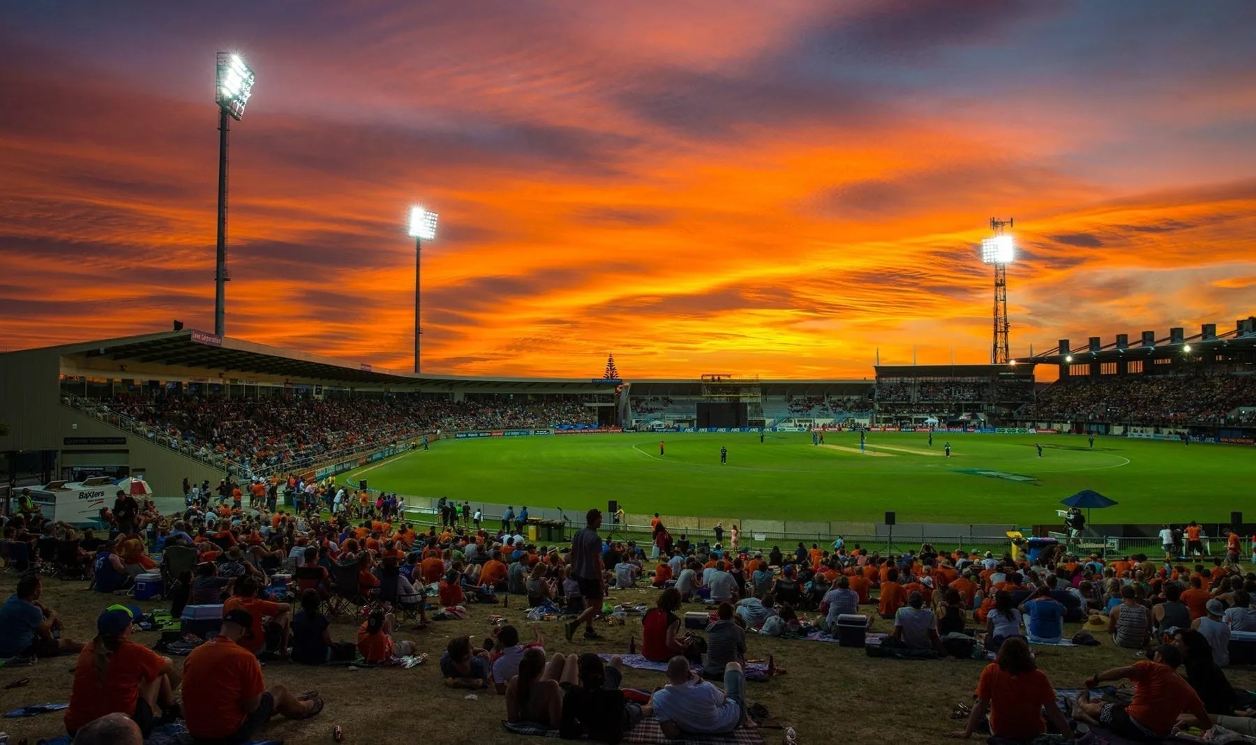 Cricket Wallpapers 4K / The Most Beautiful High Quality Widescreen