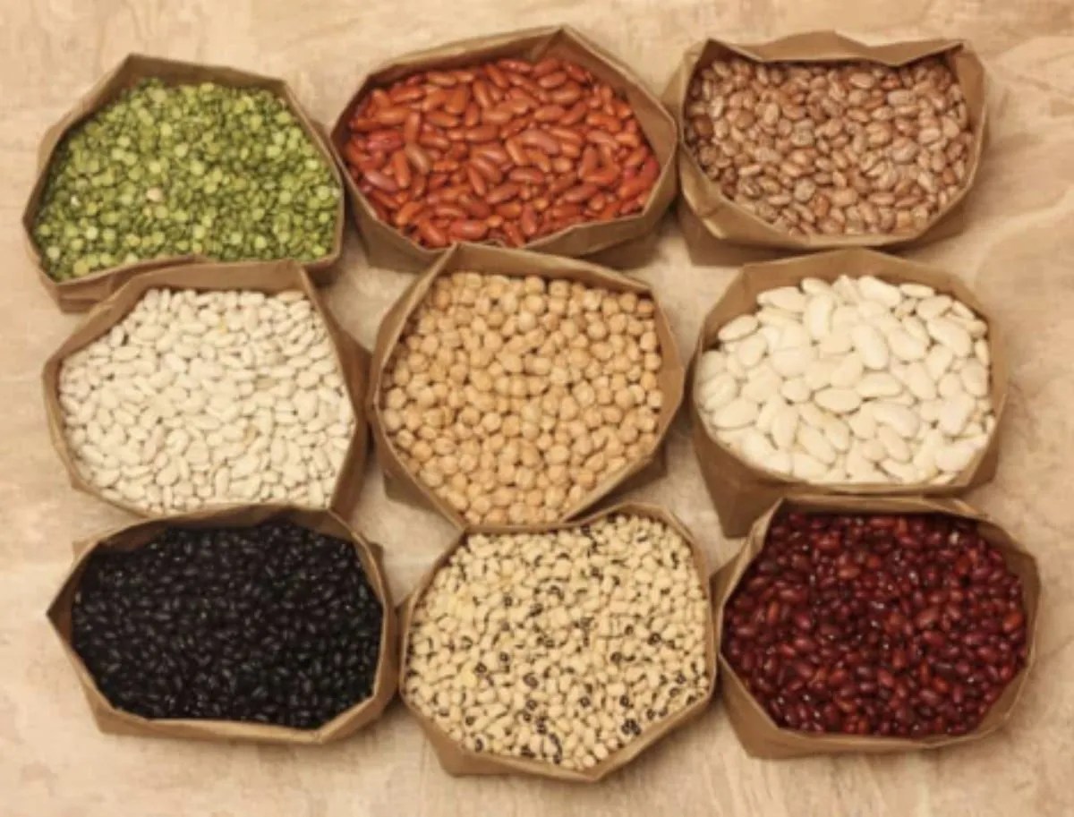 A Guide to Lectins What Are They and Why You Need To Know CupertinoTimes