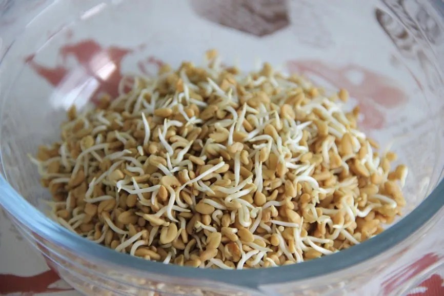 How To Gain Weight Using Natural Herbs? CupertinoTimes