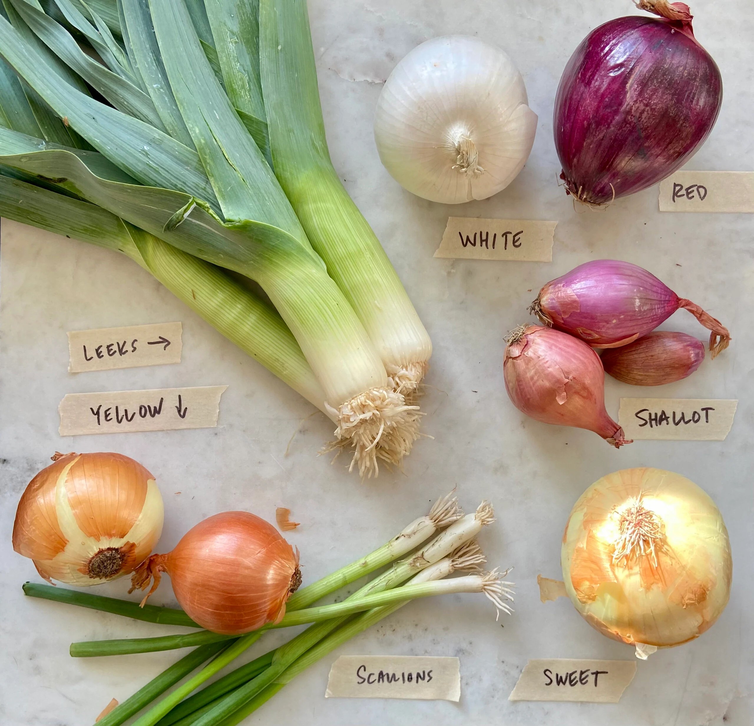 Which Onion When? Cup of Jo