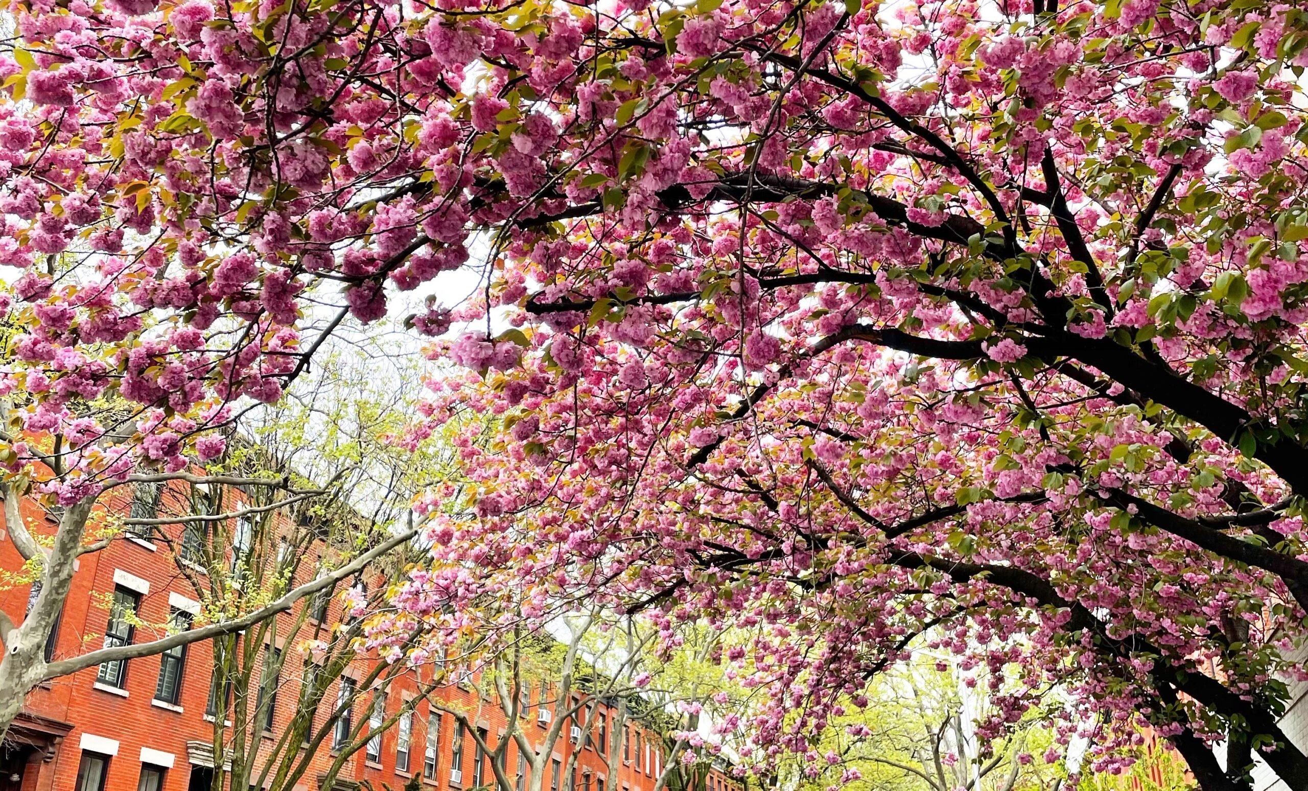 What Glimmers Are You Noticing These Days? Cup of Jo