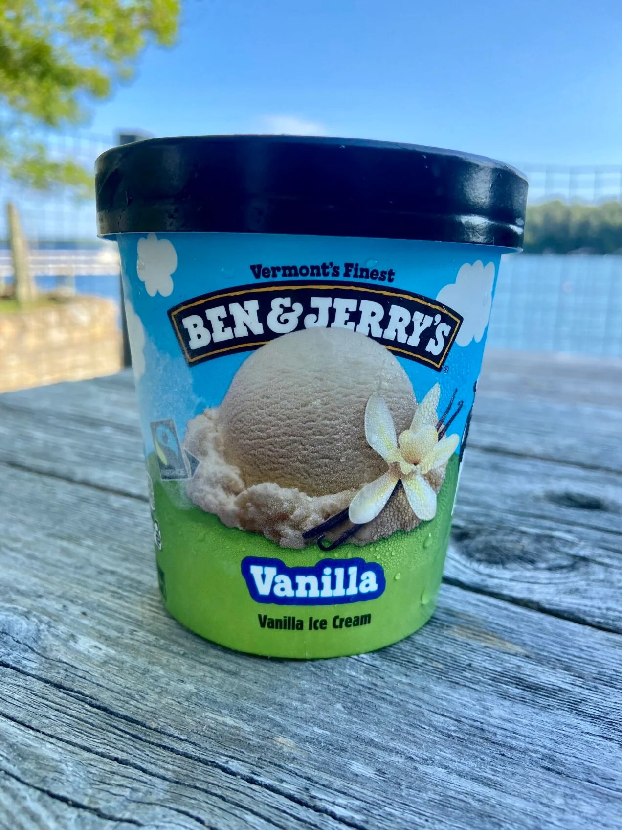 Taste Test What's the Best Vanilla Ice Cream? Cup of Jo