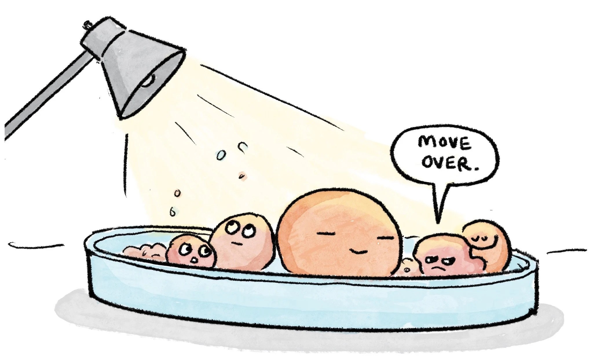 My IVF Story Cup of Jo