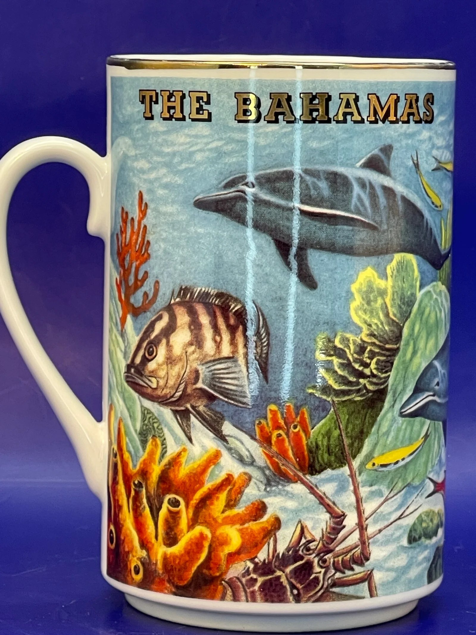 Bahamas Underwater Scene Souvenir Mug CupofMood