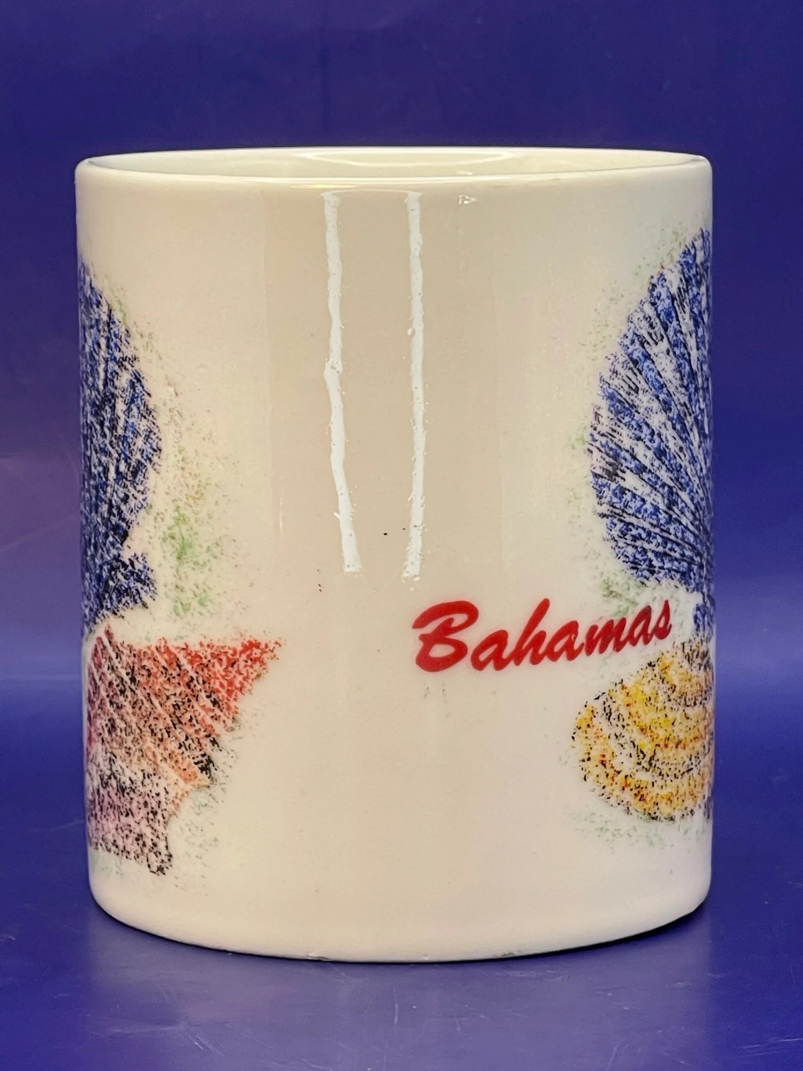 Bahamas Shells Souvenir Mug CupofMood