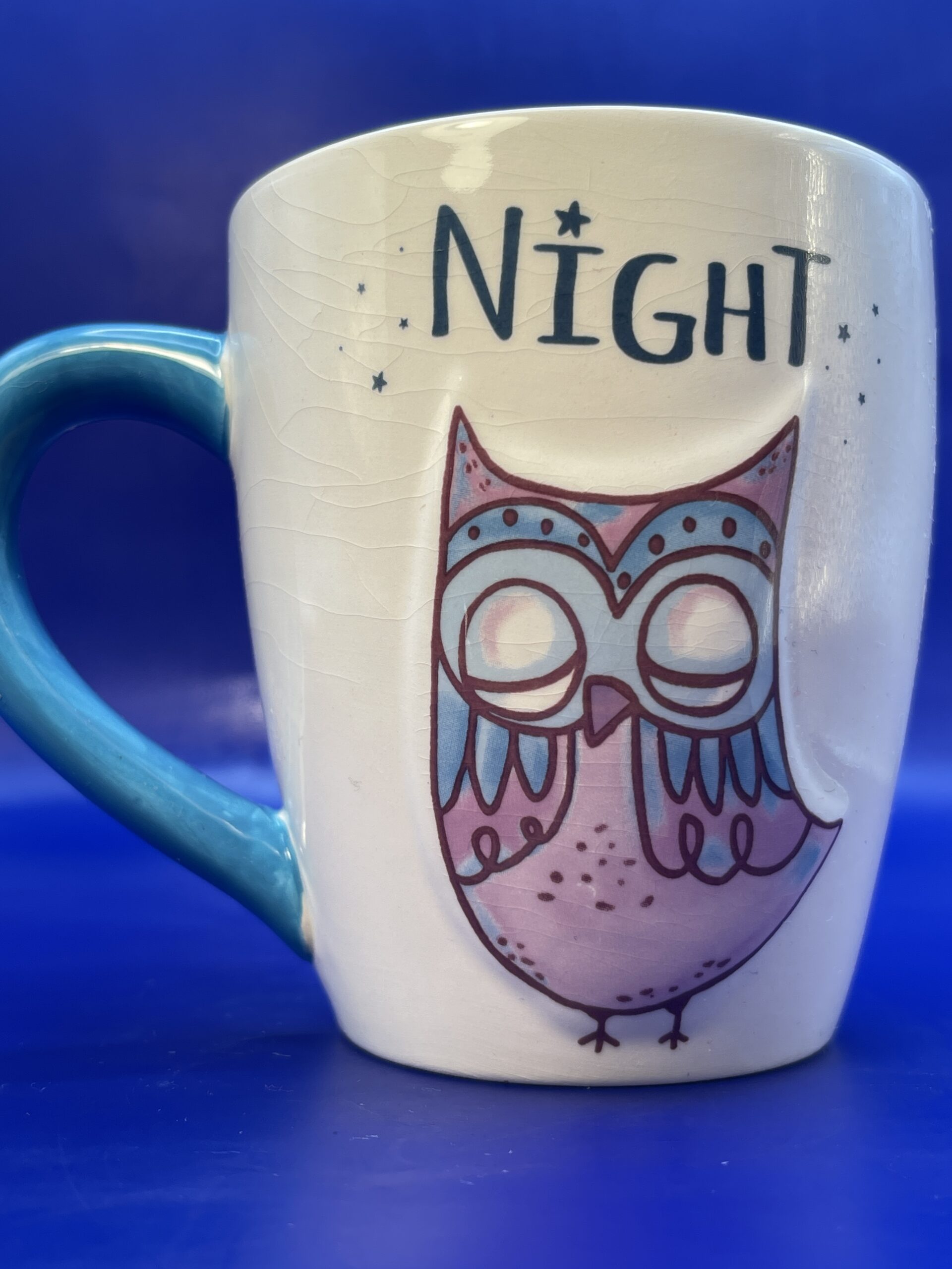 3D Night Owl Mug CupofMood