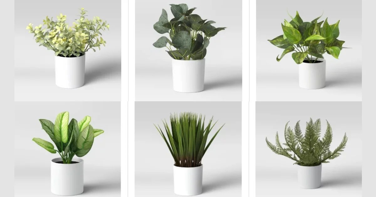 Target 40 OFF en Plantas Artificiales Seleccionadas Cuponeandote