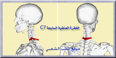 علاج البرد في الذكر بالأعشاب - Ù…Ø´Ø±ÙˆØ¨Ø§Øª ØªÙƒØ§Ù Ø­ Ù†Ø²Ù„Ø§Øª Ø§Ù„Ø¨Ø±Ø¯ ÙˆØ§Ù„Ø³Ø¹Ø§Ù„ Ø ...
