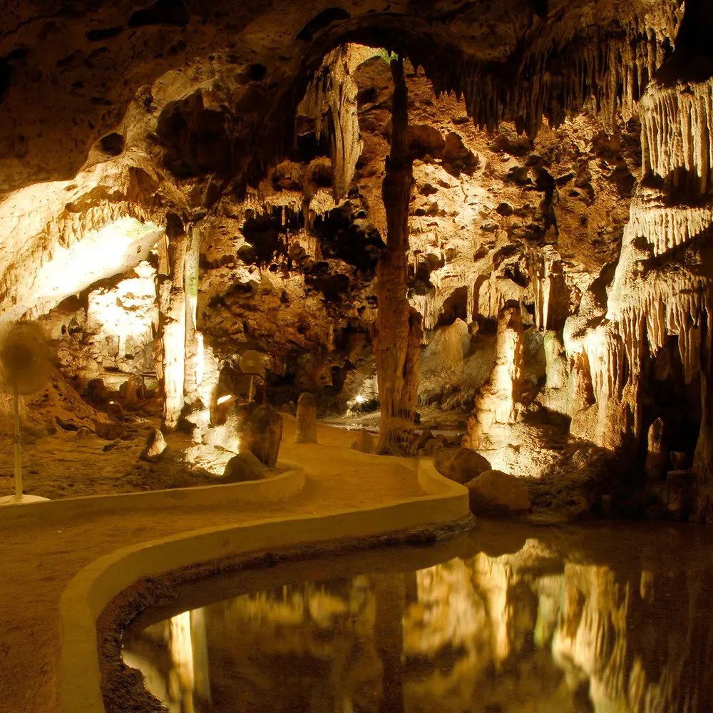 Top 32+ Photos hato caves in curacao has a colony of which type of bats? Superb