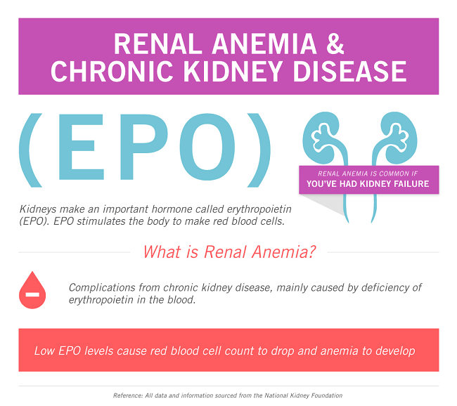 CuraScript SD Infographic Renal Anemia & Kidney Disease