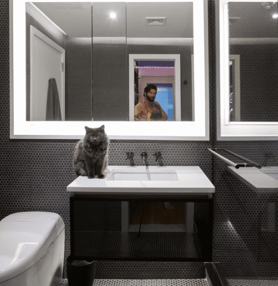 Best Robern Medicine Ideas to Bring That Wow Factor