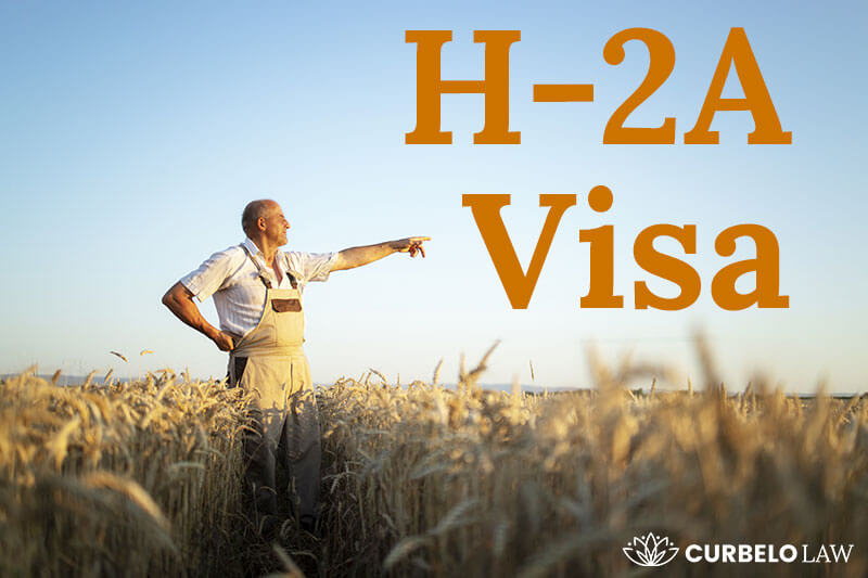 H2A visa program benefits in 2024 and how to obtain it Curbelo Law