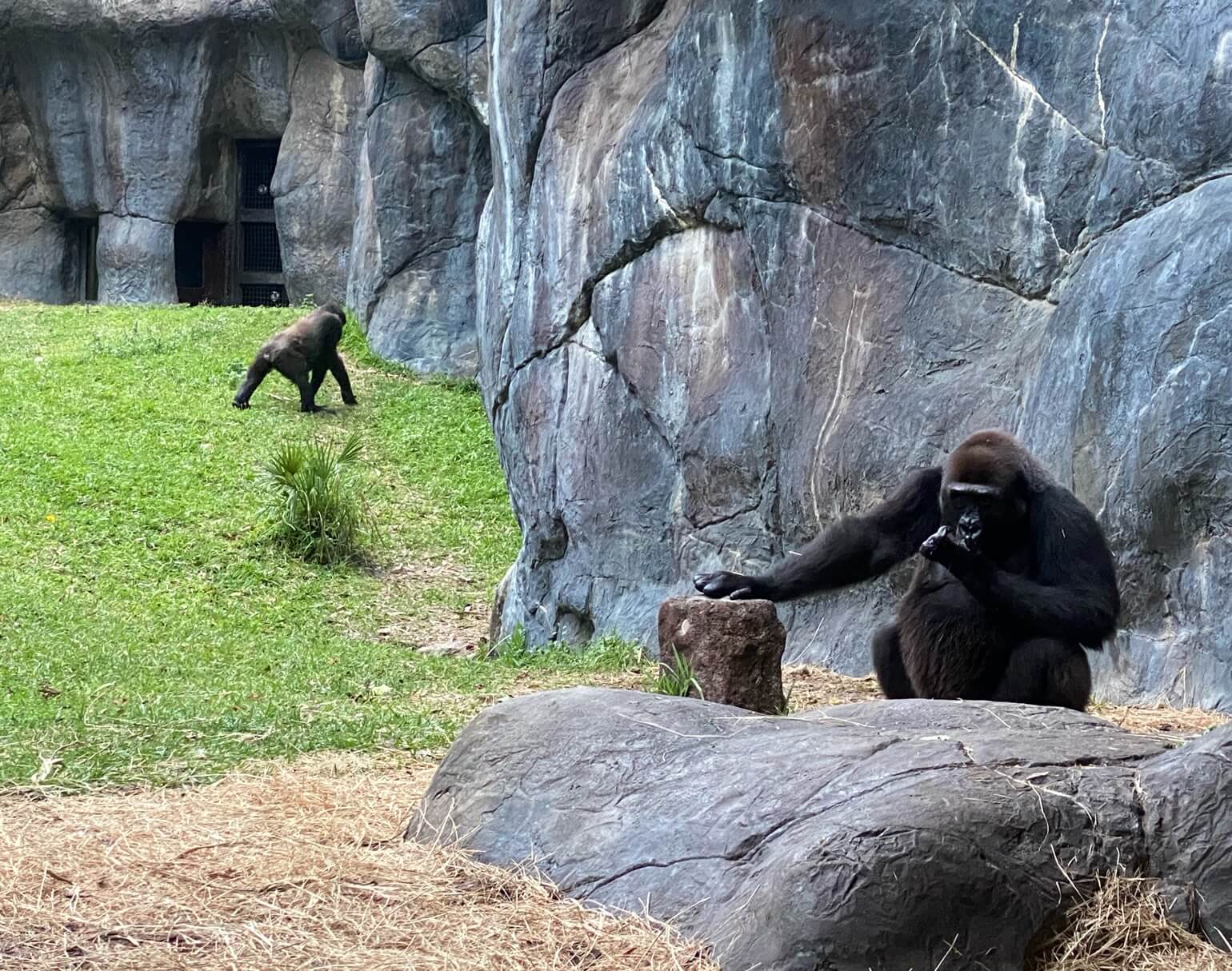 8 Wheelchair Friendly Things to Do in Clearwater FL (+ Surrounding Cities)