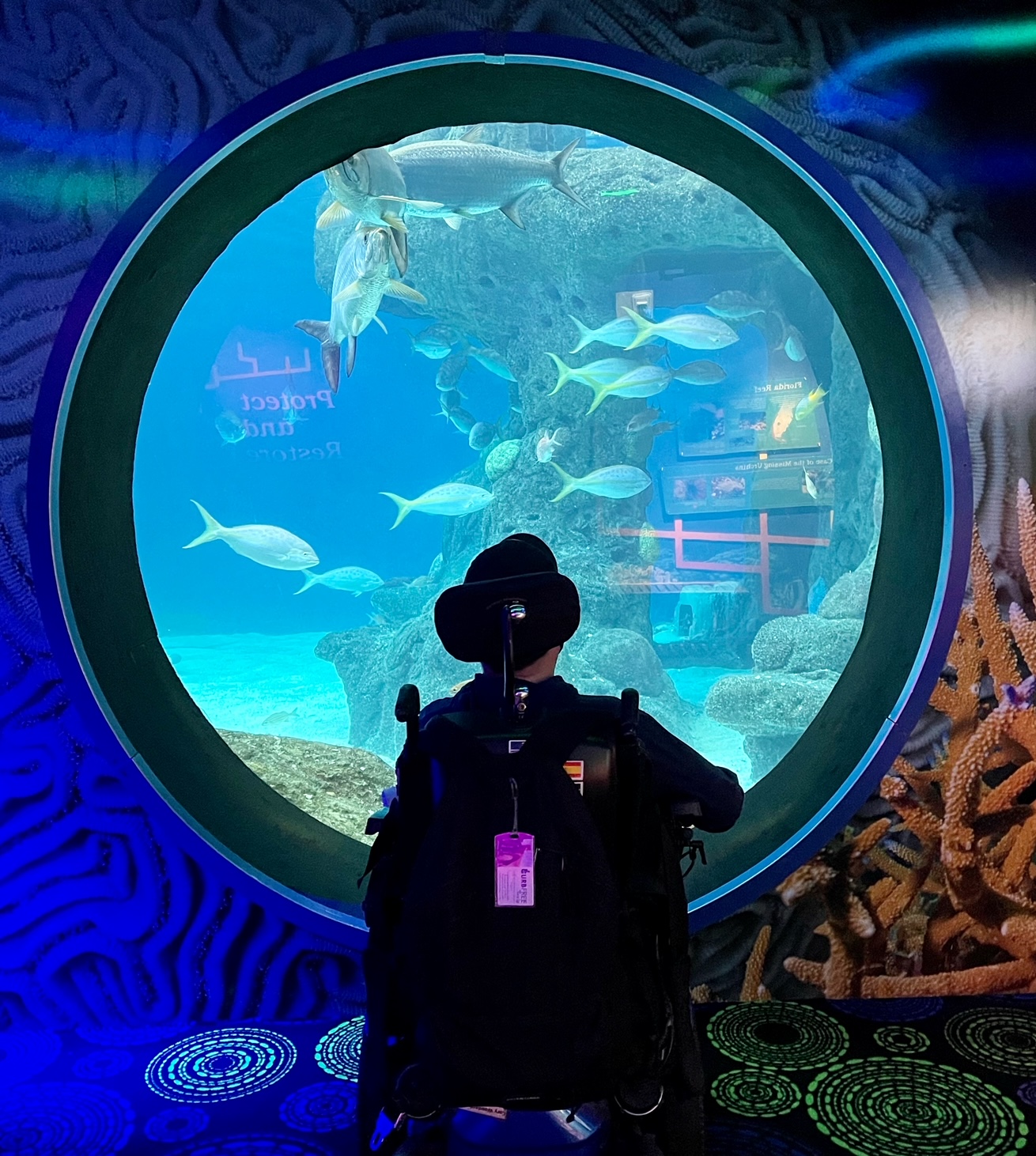 The Ultimate Wheelchair Accessible Tampa Florida Travel Guide