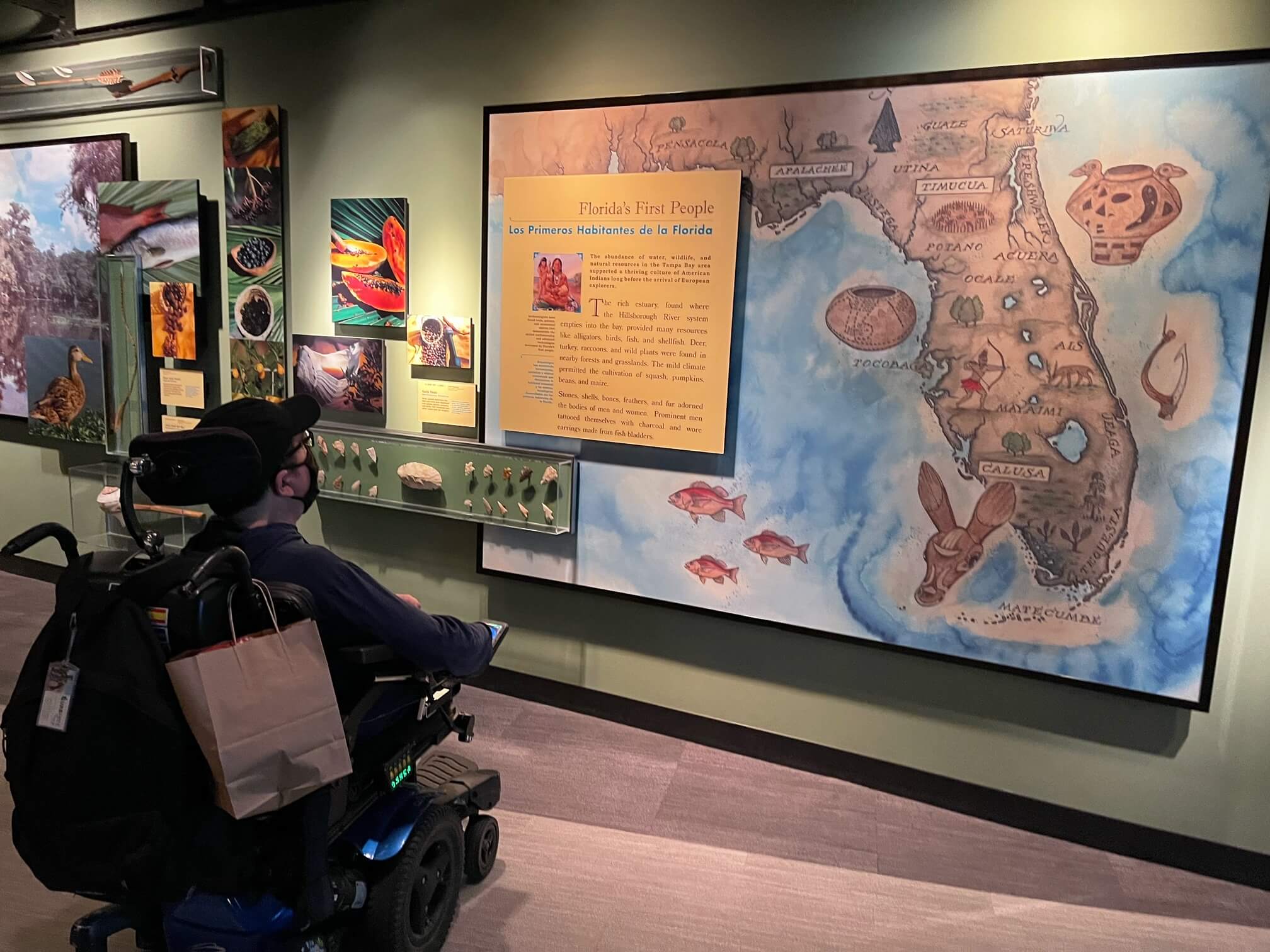 The Ultimate Wheelchair Accessible Tampa Florida Travel Guide