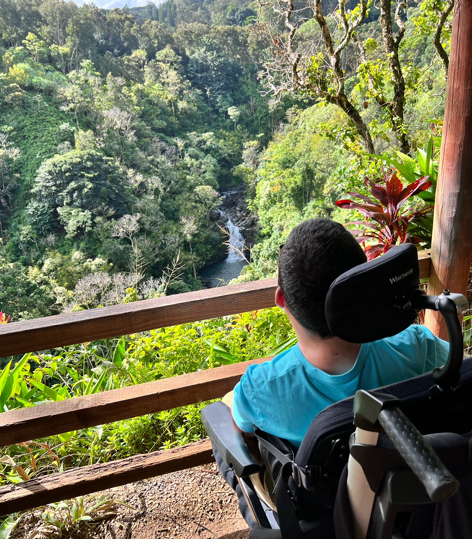 Wheelchair Accessible Maui How to Enjoy 2 Days in Paradise