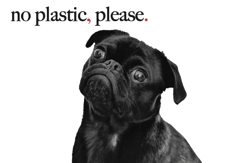 WORD FROM THE CURB Page 4 Curbicus Store