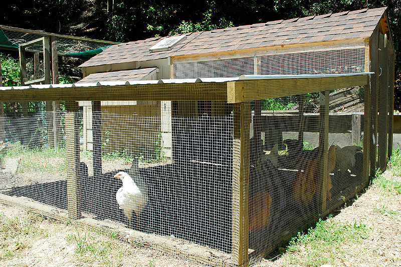 The Chicken Run Curbstone Valley