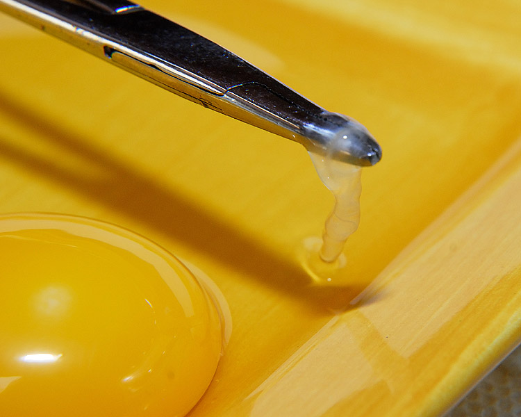 Egg Formation Curbstone Valley