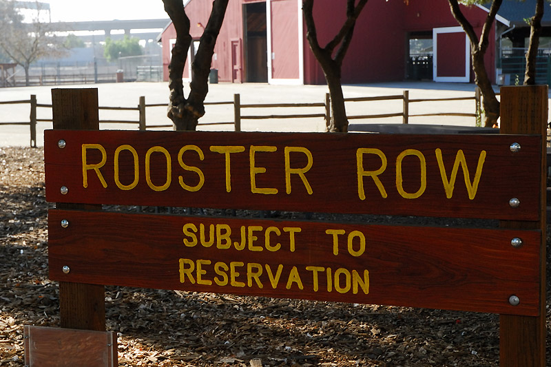 The Ultimate Urban Farm Emma Prusch Farm Park Curbstone Valley