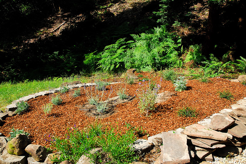 Spring Garden Update The Native Gardens Curbstone Valley