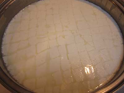 Cutting The Curd - Step By Step Instructions | Curd Nerd