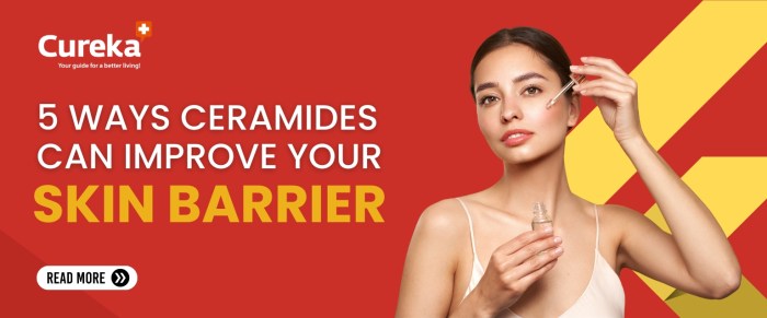 Ceramide Moisturisers: Strengthening Your Skin Barrier – LEITIN Skincare Ceramides for skin barrier
