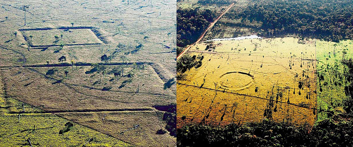 How Satellite Images Helped Discover an Ancient Civilization in the Amazon — Curiosmos