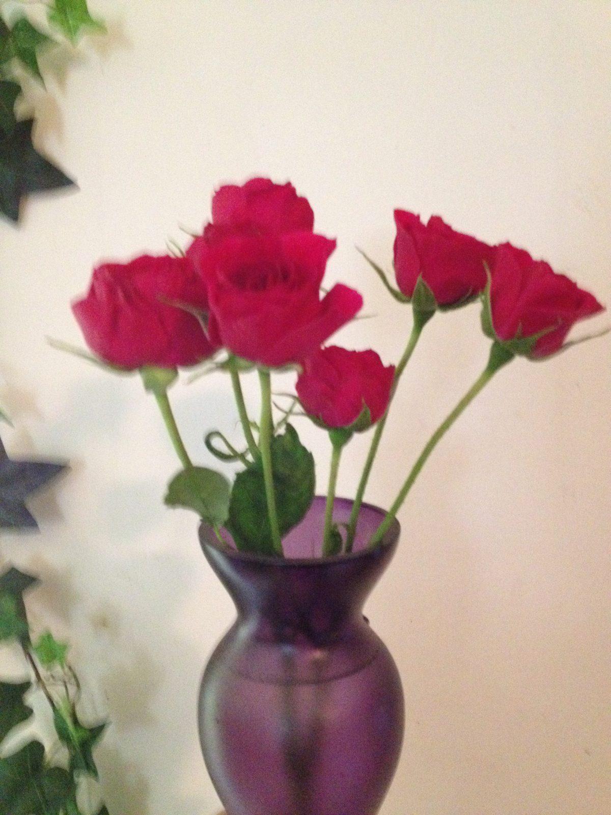 Longest Lasting Cut Flowers To Grow How to Keep Flowers Fresh Longer