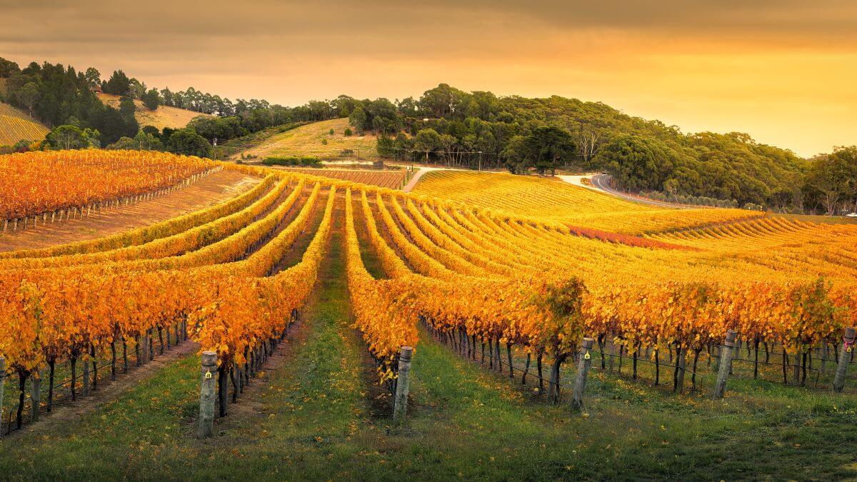 16 Best Day Trips from Adelaide Curious Campers