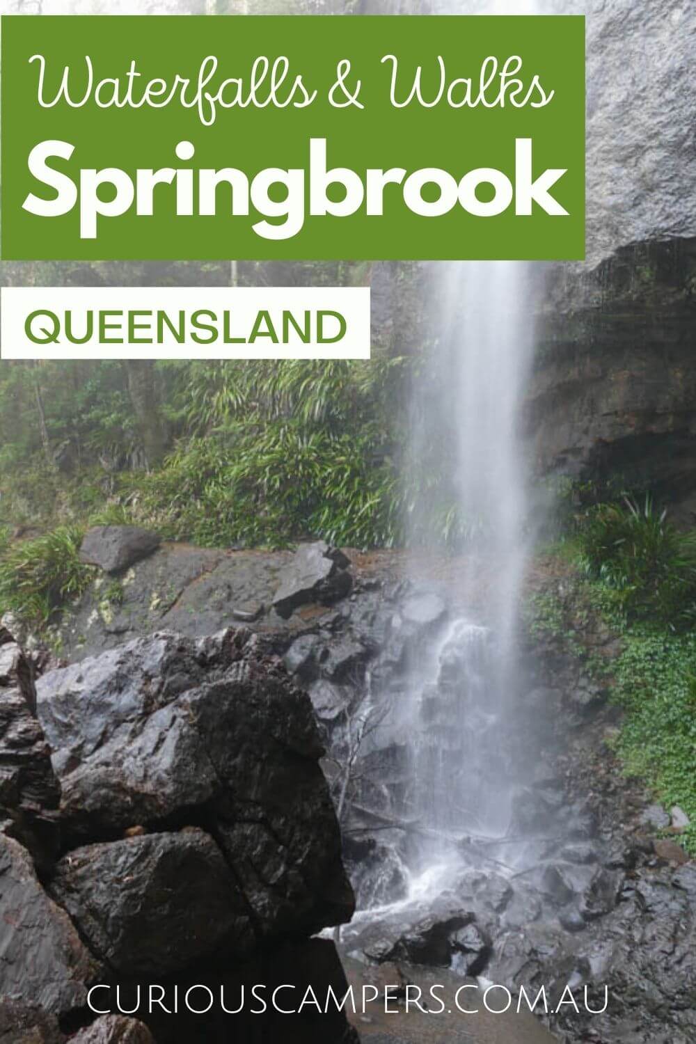 Springbrook Waterfalls & Walks Full Guide Curious Campers