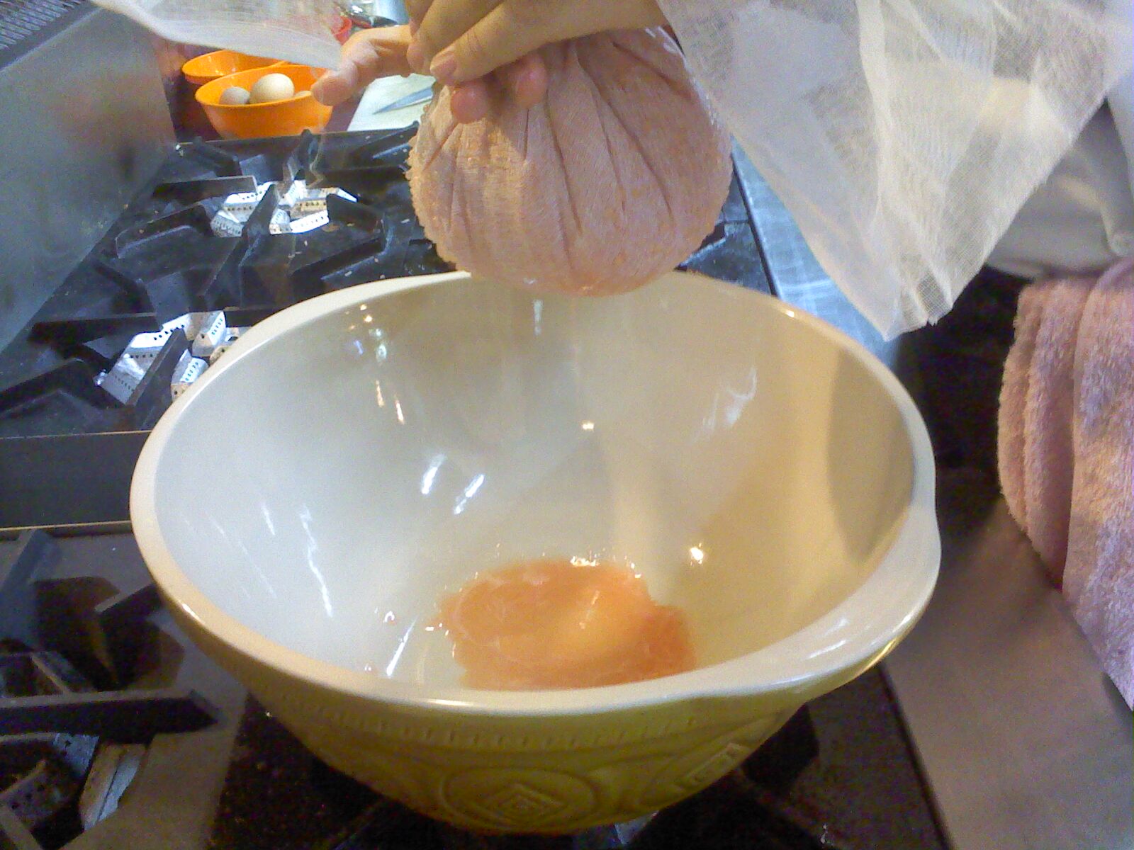 TOMATO BASIL ICE CREAM (2ND EXPERIMENT) curiousfour