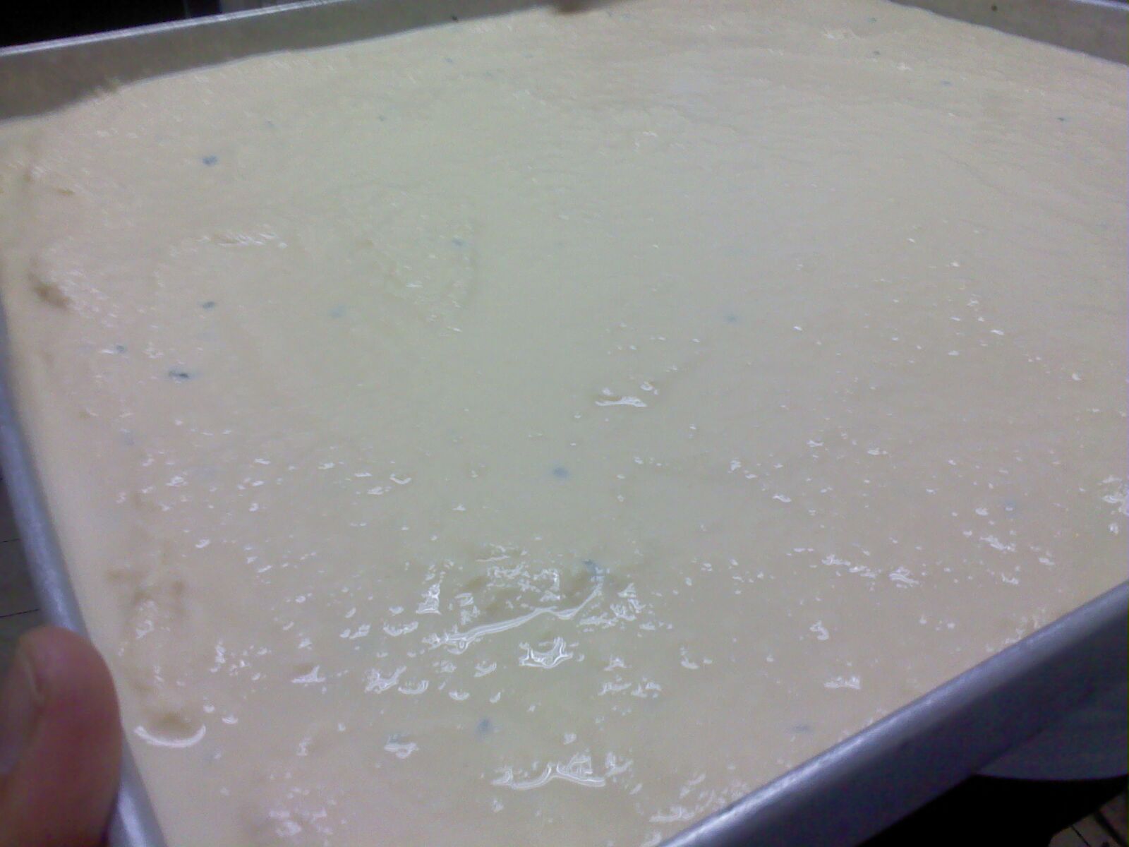 TOMATO BASIL ICE CREAM (2ND EXPERIMENT) curiousfour