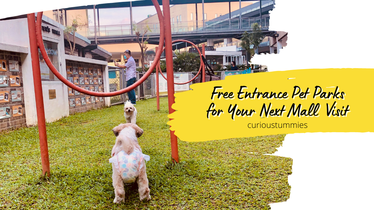 Are Dogs Allowed At Ayala Park