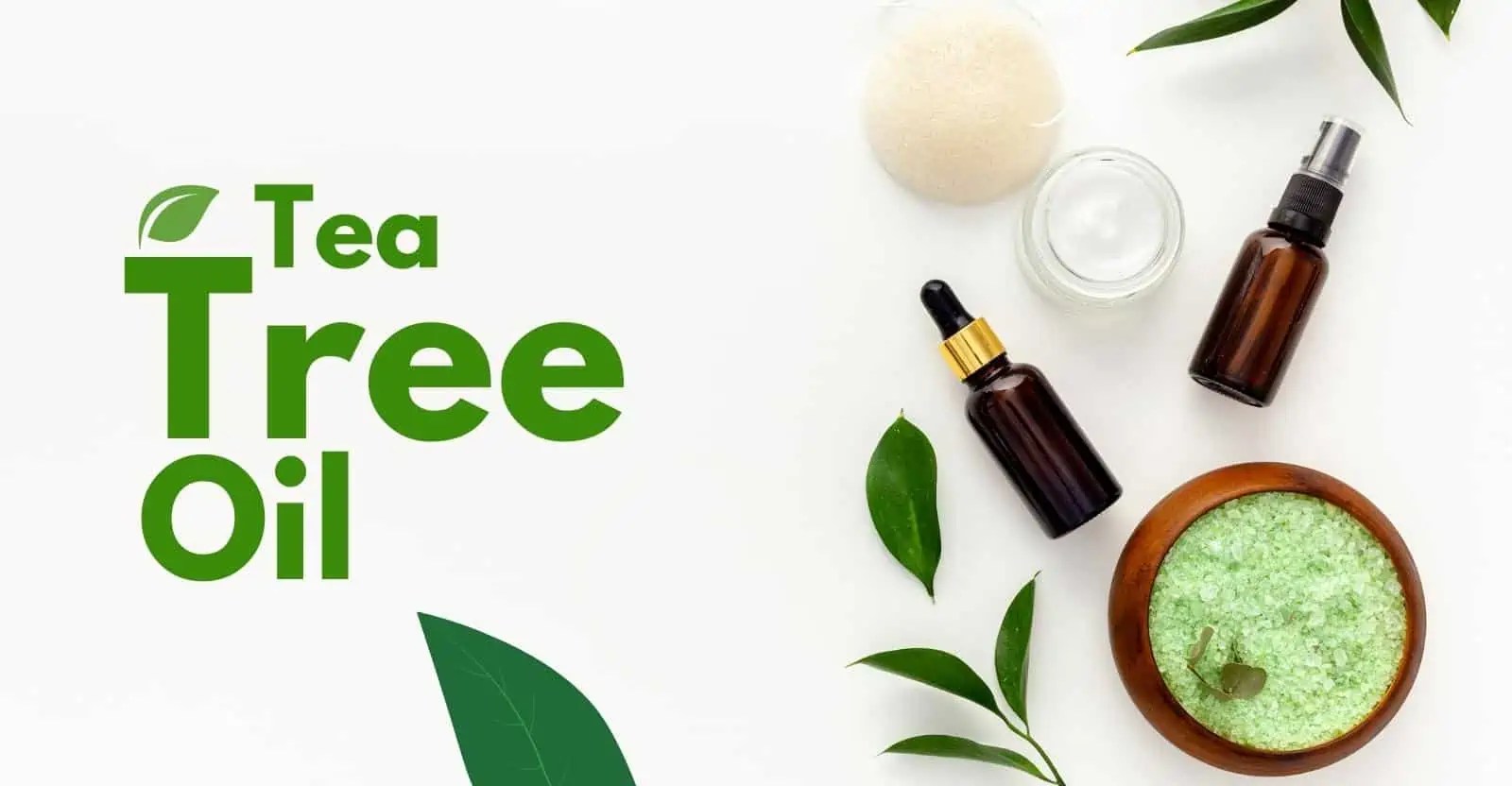 Tea Tree Oil For Hair Benefits And How To Use Curl Hair Style