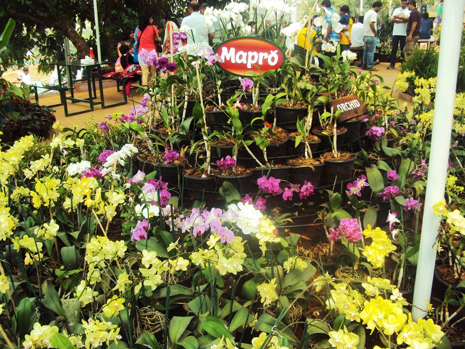 mapro strawberry festival 2023 dates Mahabaleshwar Is Throwing a Huge Strawberry Festival Over The Long Weekend