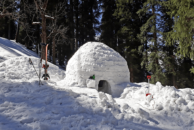 Stay In India's First Igloo Hotel In Manali Curly Tales