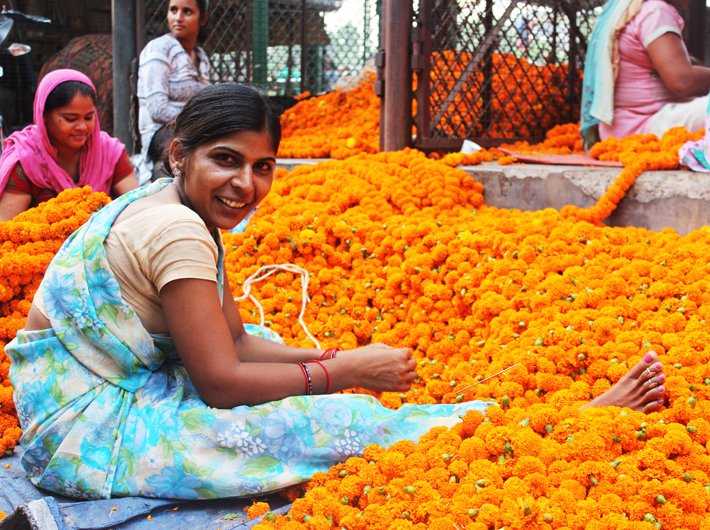 Explore The Stunning Ghazipur Flower Market In Delhi NCR Curly Tales